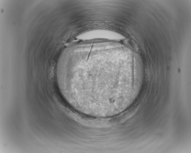 X0000087740032200706041048