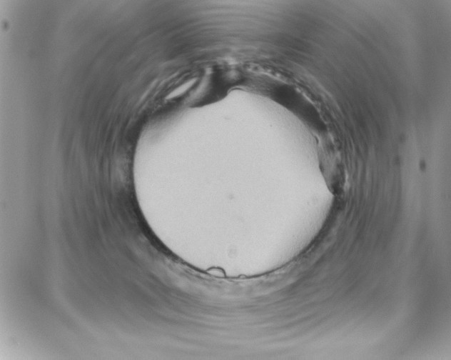 X0000087740035200706041048