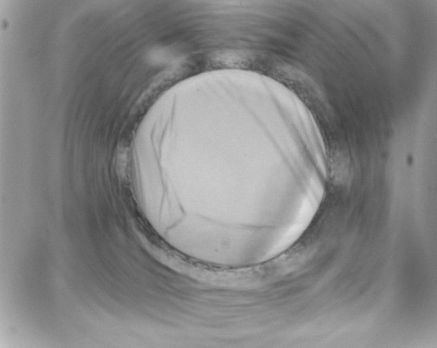 X0000087740036200706041048