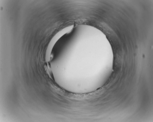 X0000087740037200706041048