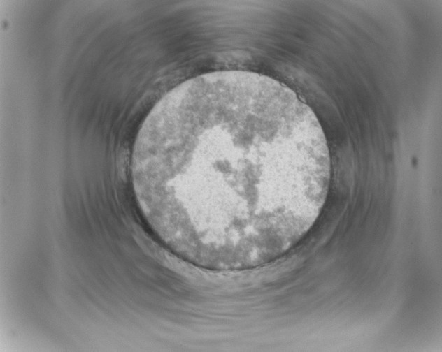 X0000087740038200706041048