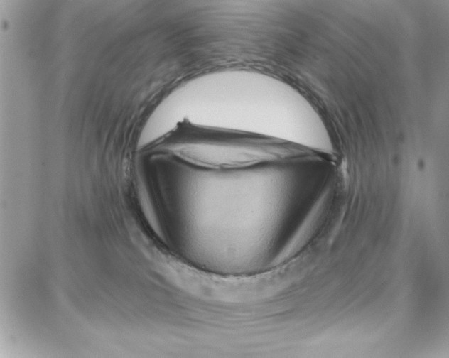 X0000087740039200706041048