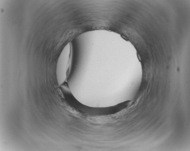 X0000087740041200706041048