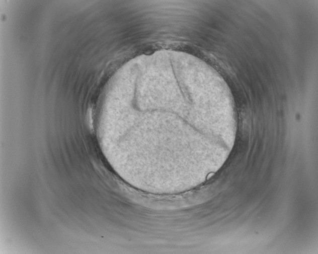 X0000087740042200706041047