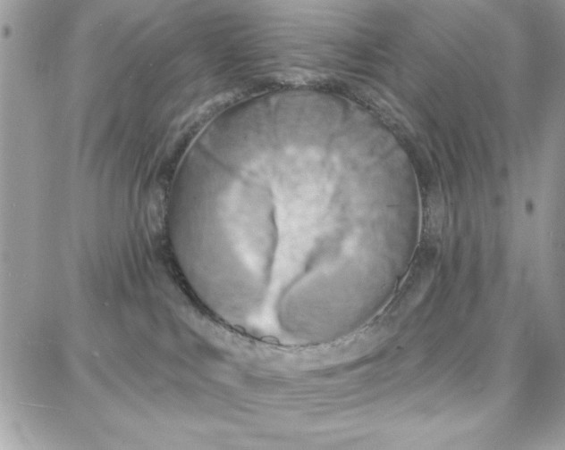 X0000087740043200706041047