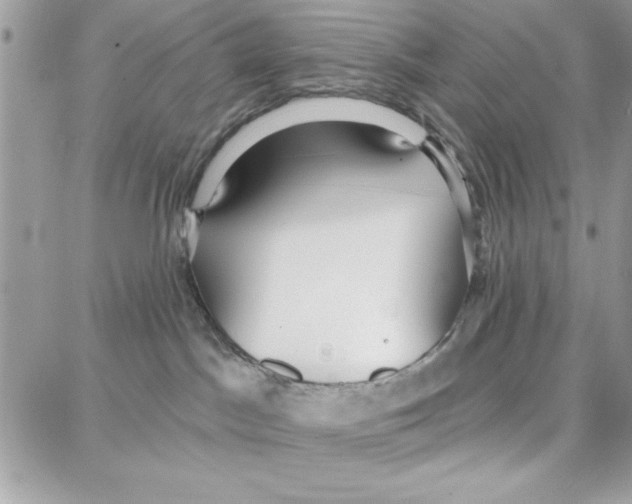 X0000087740045200706041047