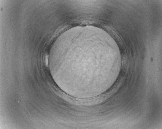 X0000087740046200706041047