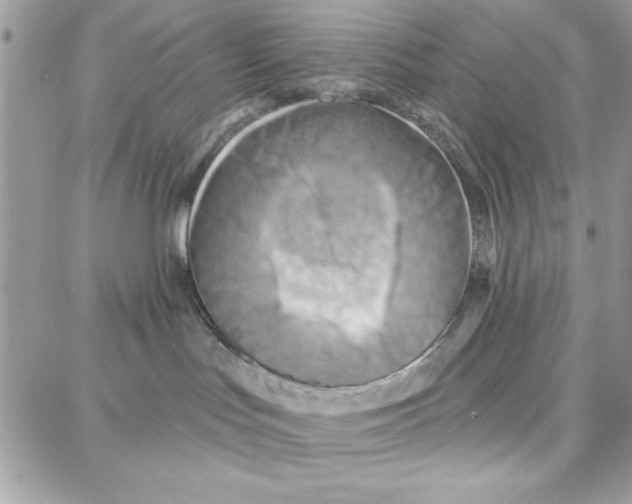 X0000087740047200706041047