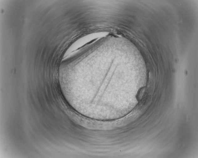 X0000087740048200706041047