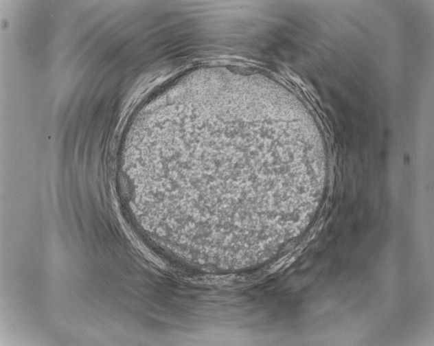 X0000087740049200706041047