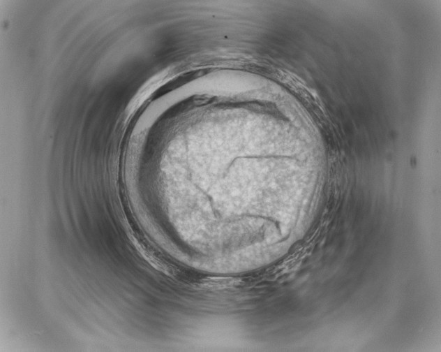 X0000087740051200706041047