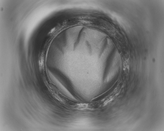 X0000087740052200706041047