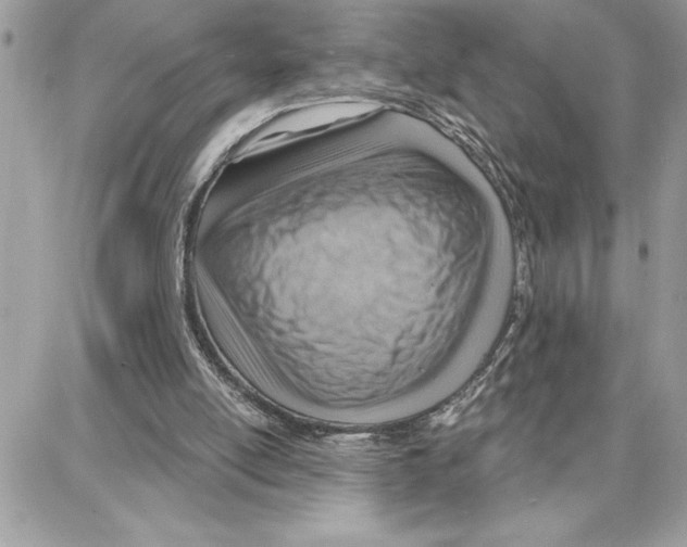 X0000087740054200706041047