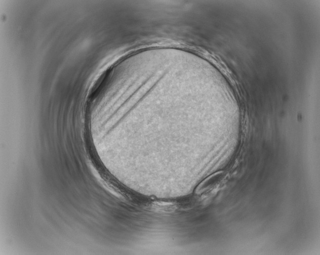 X0000087740055200706041047