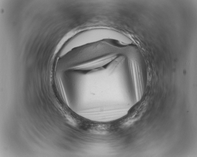 X0000087740056200706041047