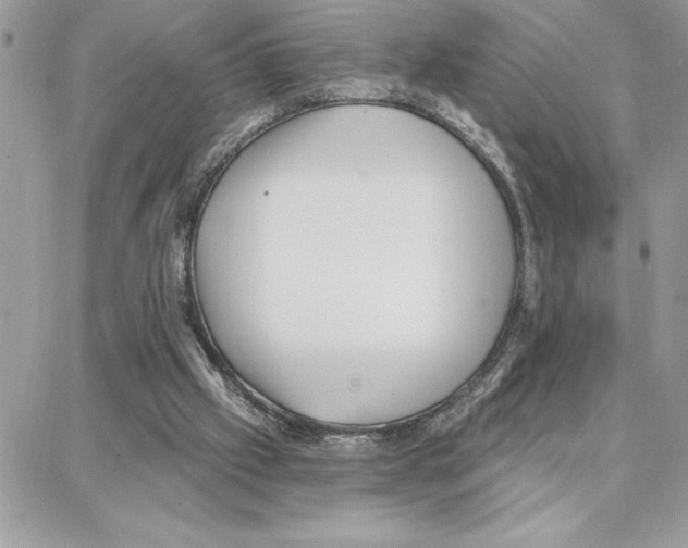 X0000087740057200706041047