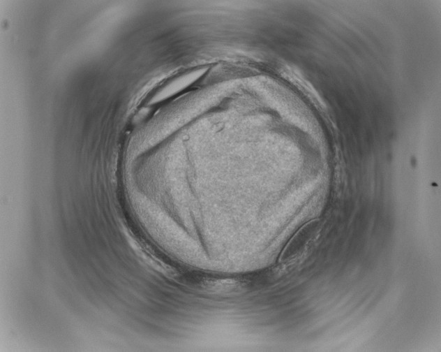 X0000087740058200706041047