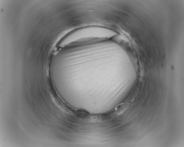 X0000087740060200706041047