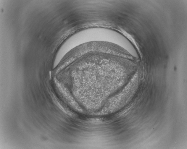 X0000087740061200706041047