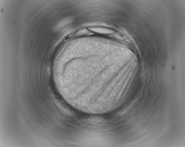 X0000087740063200706041047