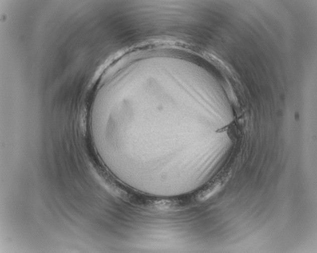 X0000087740064200706041047