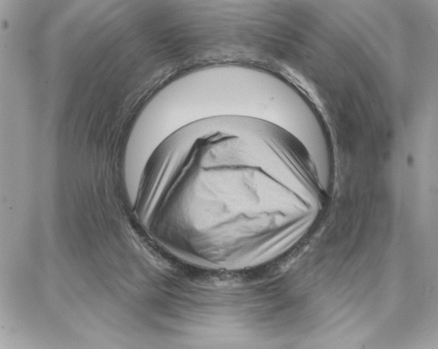 X0000087740065200706041047