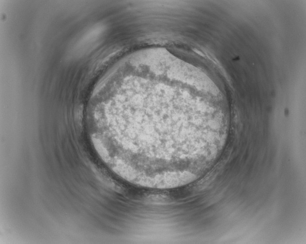 X0000087740066200706041047