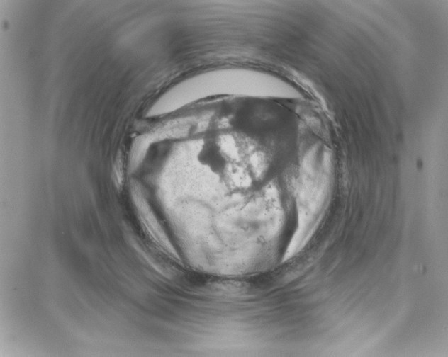 X0000087740069200706041047