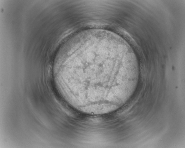 X0000087740071200706041047