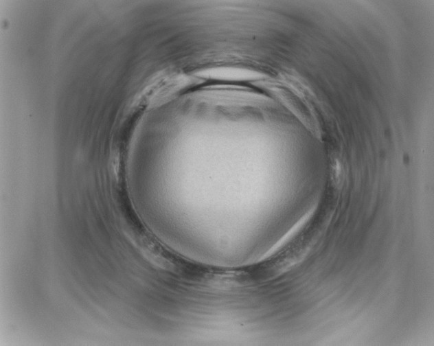 X0000087740072200706041047