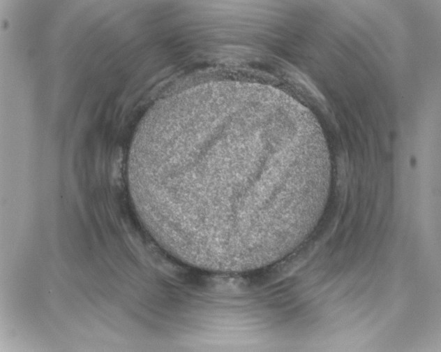 X0000087740073200706041047