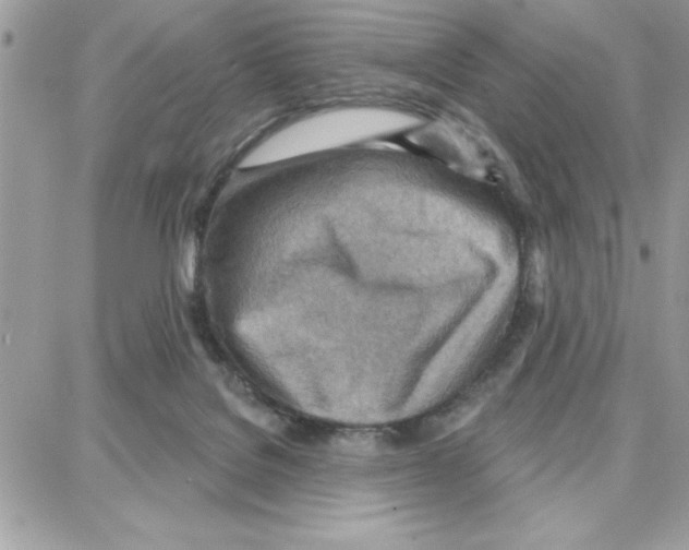 X0000087740076200706041047