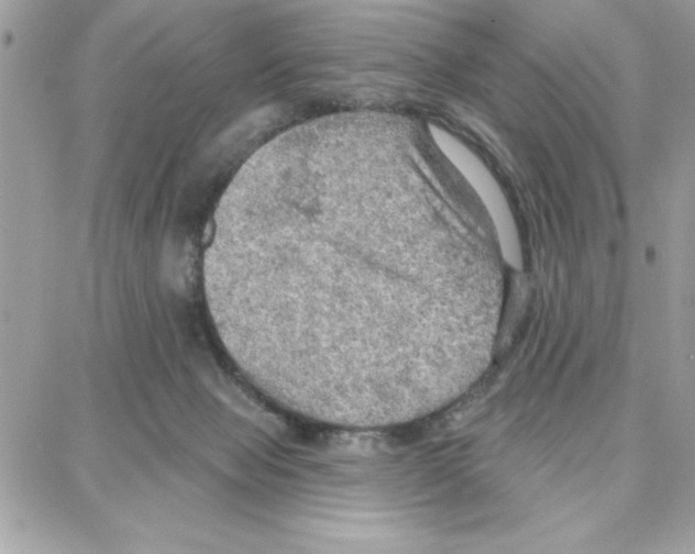 X0000087740077200706041047