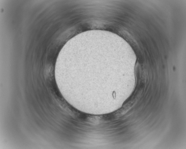 X0000087740079200706041047