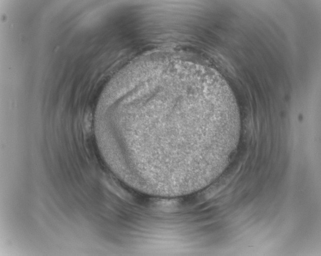 X0000087740081200706041047