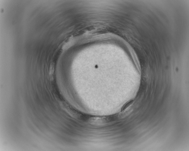 X0000087740082200706041047