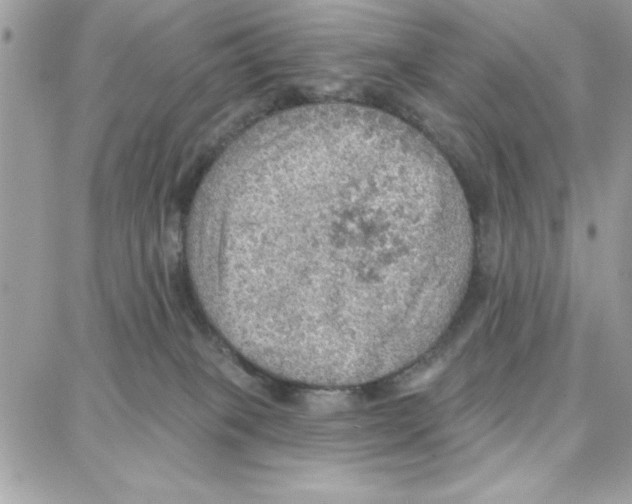 X0000087740085200706041047