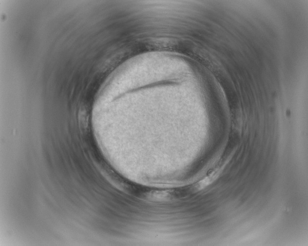 X0000087740086200706041047