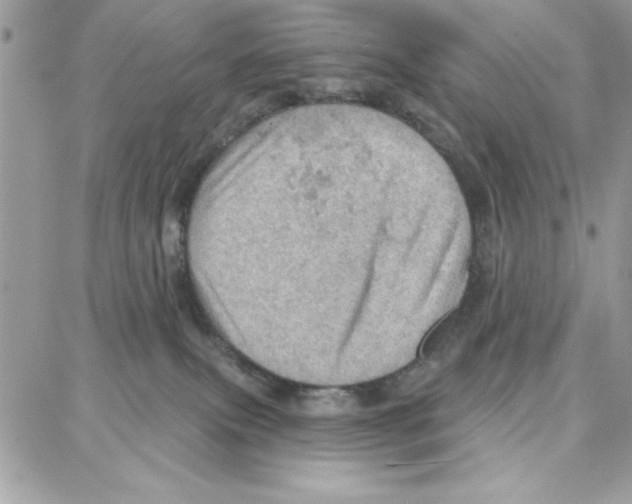 X0000087740087200706041047