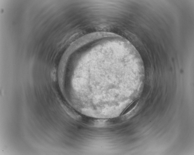 X0000087740090200706041047