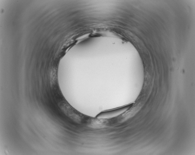 X0000087740096200706041047