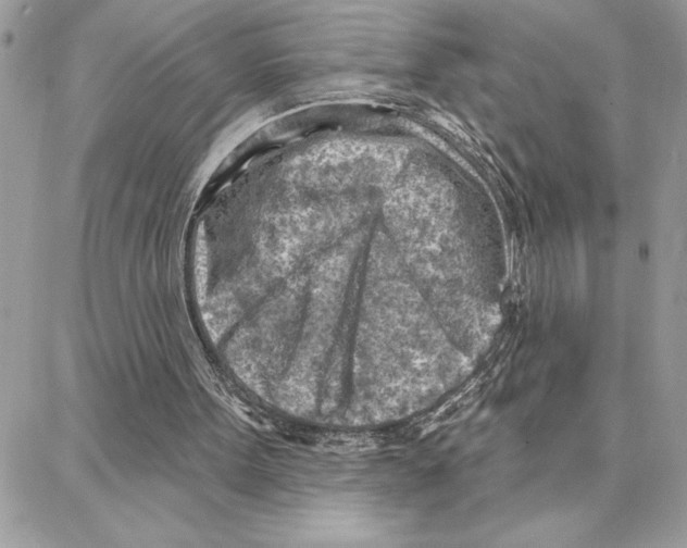 X0000087740099200706041047