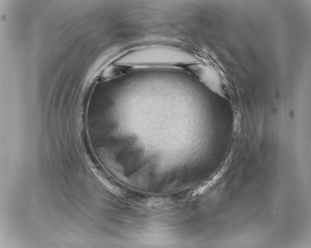 X0000087740101200706041047