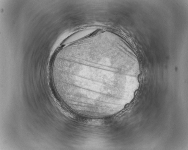 X0000087740102200706041047