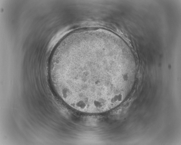 X0000087740103200706041047