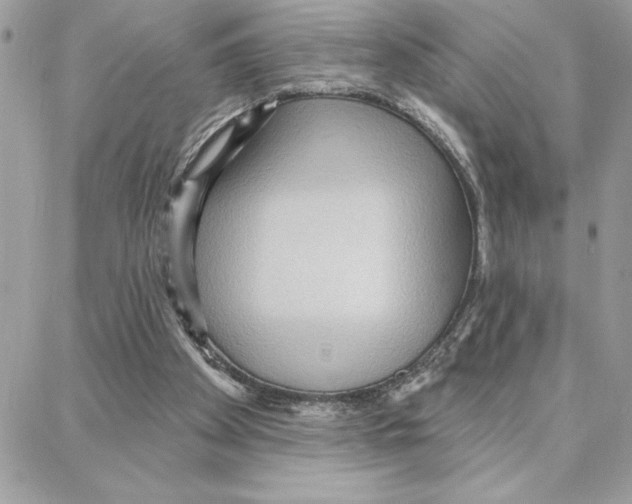 X0000087740105200706041046