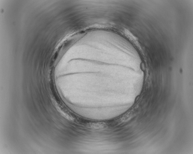 X0000087740106200706041046