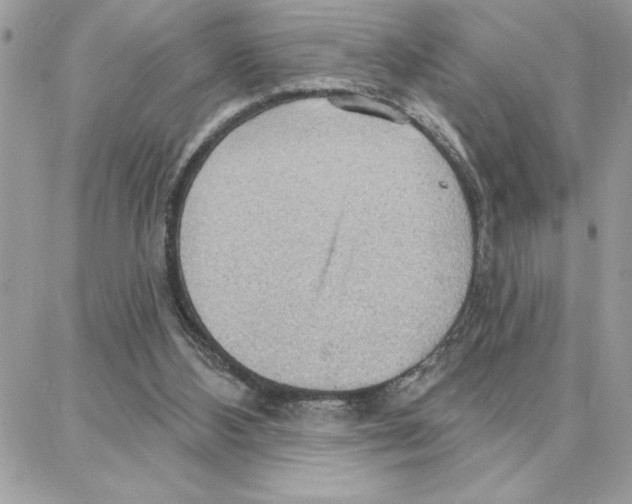 X0000087740108200706041046