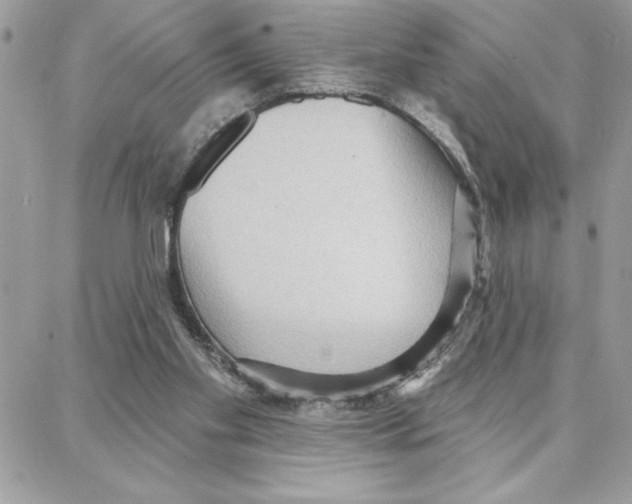 X0000087740109200706041046