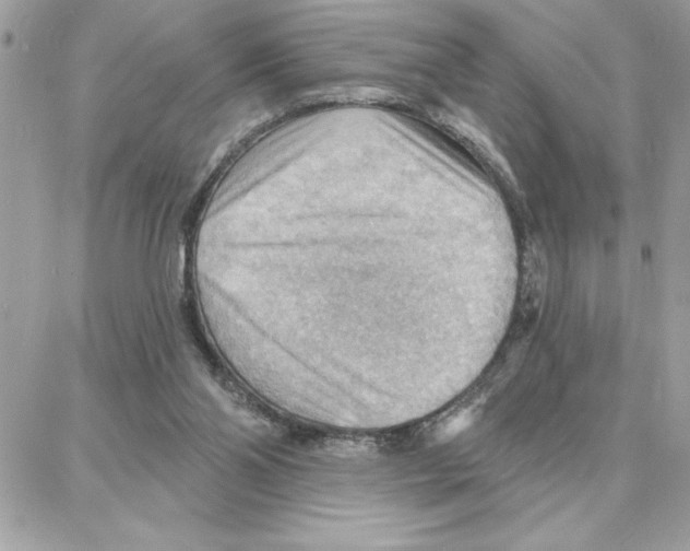 X0000087740110200706041046